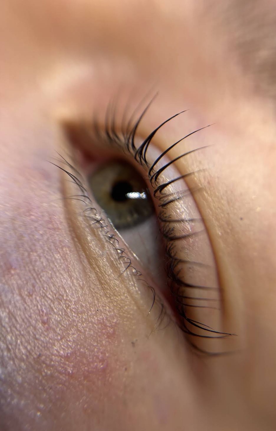 Lash Lift & Tint